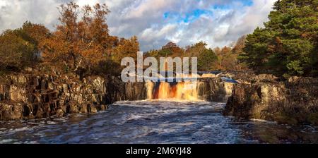 Low Force Waterfall im Herbst, Teesdale, County Durham, England, Großbritannien Stockfoto