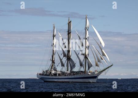 Russisches Großsegler mir, Turku-Rennbeginn, 2009 Stockfoto