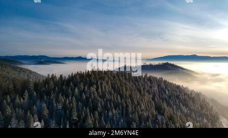 Die nebligen Wälder und Berge in Missoula, Montana, USA, aus der Vogelperspektive Stockfoto