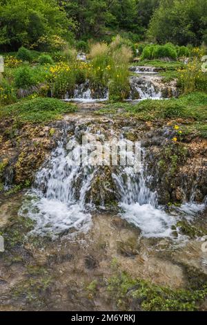 Cascade Springs, Wasatch Mountains, in der Nähe von Midway, Utah, USA Stockfoto