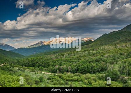 Mount Timpanogos Massiv, Blick vom Cummings Parkway Jeep Trail, über Provo Deer Creek, Frühsommermorgen, Wasatch Mountain State Park, Utah, USA Stockfoto