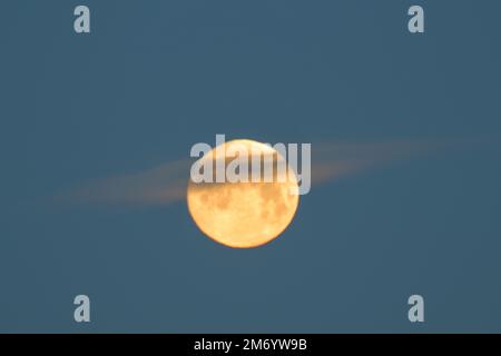 Halbbral Mondfinsternis, der Wolfsmond, scheint an einem Wintermorgen mit einem Strom von Wolken, der umströmt, Vollmond, Morgenhimmel Stockfoto