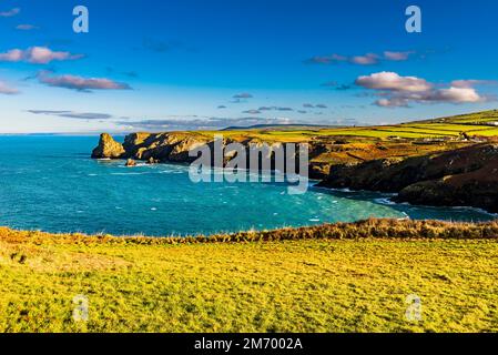 Mit Blick auf Benoath Cove und Bossiney Haven, Tintagel, Cornwall, Großbritannien Stockfoto