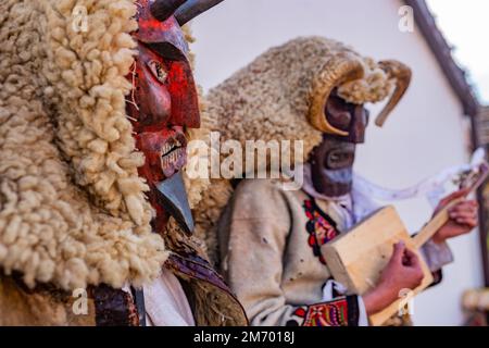 Buso-Gruppe mit einem provisorischen Fahrzeug, das für die jährlichen buso-Festlichkeiten/Poklade in Mohacs, Ungarn, verkleidet ist Stockfoto