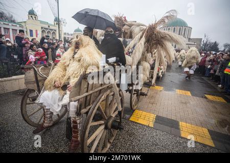 Buso-Gruppe mit einem provisorischen Fahrzeug, das für die jährlichen buso-Festlichkeiten/Poklade in Mohacs, Ungarn, verkleidet ist Stockfoto