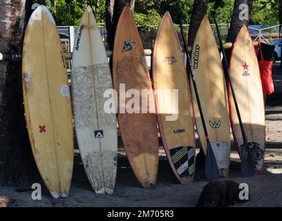 Stand-Up-Paddleboards am Strand in Costa Rica Stockfoto