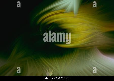 Foto-Wirbel - Abstraktionen meiner Tier- und Landschaftsfotos Stockfoto