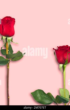 Valentinstag. Blumenzusammensetzung. Runder Rahmen aus Rosenblumen, Konfetti auf weißem Hintergrund. Hintergrund zum Valentinstag. Flach liegend, Draufsicht, c Stockfoto