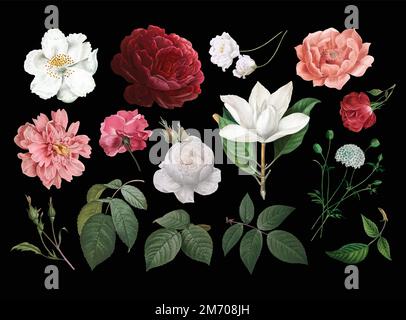 Schöne handgezeichnete verschiedene Rosen Sammlung Vektor Stock Vektor