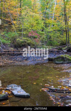 Bridal Veil Falls mit Herbstfarben im Cuyahoga Valley National Park, Ohio Stockfoto