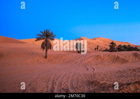 Fantastische Aussicht auf die Golden Sahara Desert Sands in der Nähe der Oasenstadt Taghit, Algerien Stockfoto