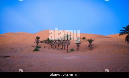 Fantastische Aussicht auf die Golden Sahara Desert Sands in der Nähe der Oasenstadt Taghit, Algerien Stockfoto