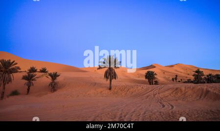 Fantastische Aussicht auf die Golden Sahara Desert Sands in der Nähe der Oasenstadt Taghit, Algerien Stockfoto