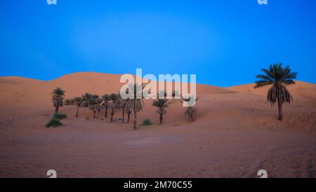 Fantastische Aussicht auf die Golden Sahara Desert Sands in der Nähe der Oasenstadt Taghit, Algerien Stockfoto