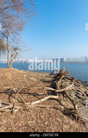 Han-Fluss Hangang und Seoul-Stadtbild im Winter in Südkorea Stockfoto