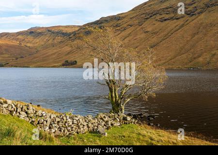 Loch na Leitreach auf dem Inverinate Estate, Schottland. Stockfoto