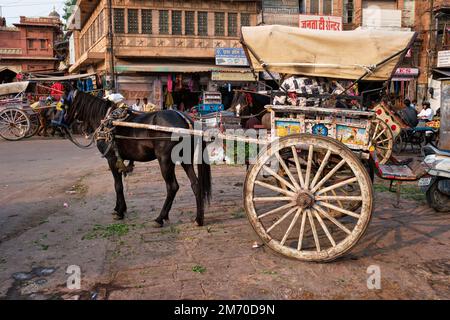 Jodhpur, Indien - 14. November 2019: Pferdewagen in der Straße von Jodhpur als Taxi in Jodhpur, Rajasthan, Indien Stockfoto