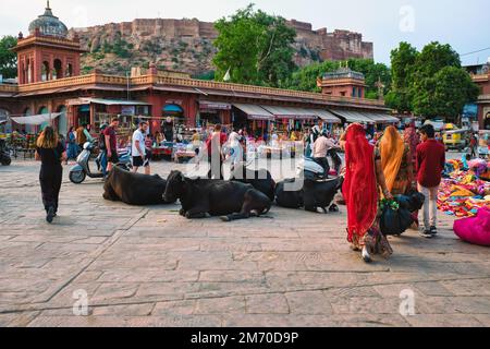 Jodhpur, Indien - 14. November 2019: Menschen und Kühe auf dem Sadar-Markt in Jodhpur, Rajasthan, Indien, mit der Festung Mehrangarh im Hintergrund Stockfoto