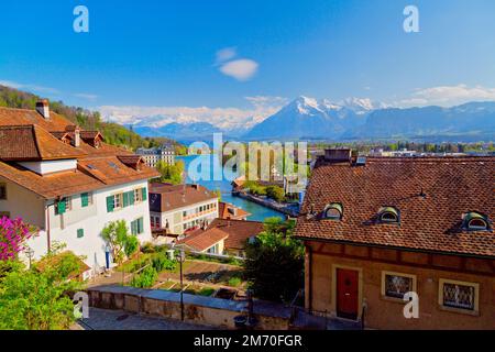 Wunderschöne Thunstadt, Thunersee, schweizer alpen, Schweiz Stockfoto