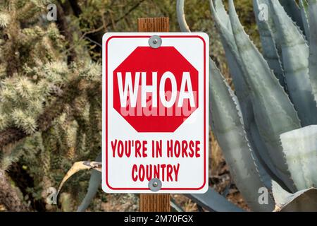 Ein Schild mit der Aufschrift „Whoa...You're in Horse Country“ liegt auf einem Pfad neben einer blauen Agarpflanze in der Nähe des Saguaro-Nationalparks in Tucson, Arizona. Stockfoto