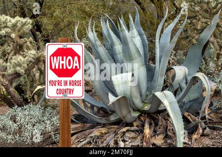 Ein Schild mit der Aufschrift „Whoa...You're in Horse Country“ liegt auf einem Pfad neben einer blauen Agarpflanze in der Nähe des Saguaro-Nationalparks in Tucson, Arizona. Stockfoto