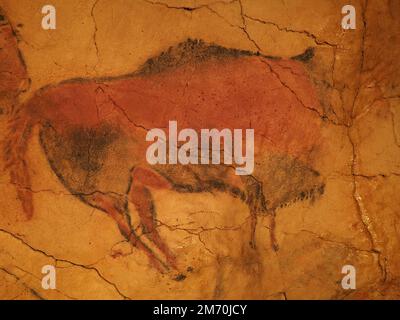 Prähistorische polychrome Magdalenische Bisons in der Altamira-Höhle in der europäischen Stadt Santillana del Mar in der Provinz Kantabrien in Spanien im September 2019. Stockfoto