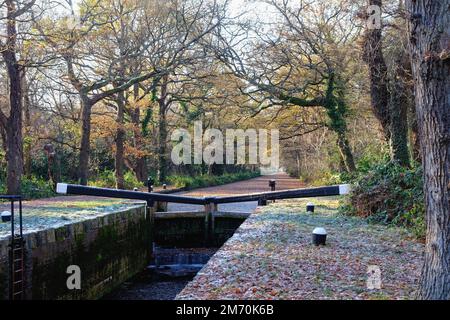 Der Beginn des Basingstoke-Kanals in New Haw an einem kalten und frostigen Wintertag in Surrey, England Stockfoto