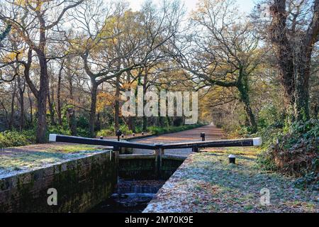 Der Beginn des Basingstoke-Kanals in New Haw an einem kalten und frostigen Wintertag in Surrey, England Stockfoto