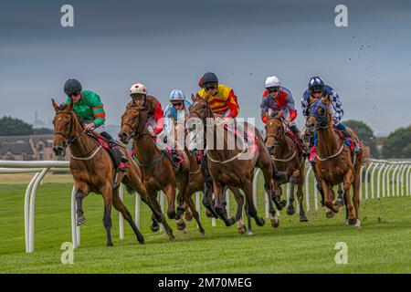 Das Rennen läuft. Musselburgh, Pferderennen, Schottland Stockfoto