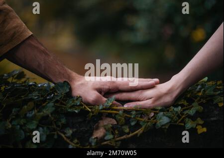Ein romantisches Foto von den Händen eines jungen Paares in einem wunderschönen Herbstpark, das aus nächster Nähe gezeigt wird, während sie sich gegenseitig die Hände auf einem Bett mit grünem Gras halten Stockfoto