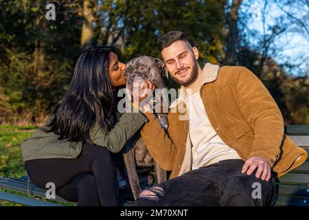Ein paar junge Liebhaber im Park mit dem Hund, während wir das Hündchen verwöhnen Stockfoto