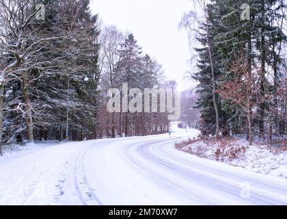 Winterwunderland in schweden. Fußweg durch eine kurvige Straße mit schneebedeckten Bäumen und hellem Sonnenlicht während des Schneesturms, göteborg, schweden Stockfoto