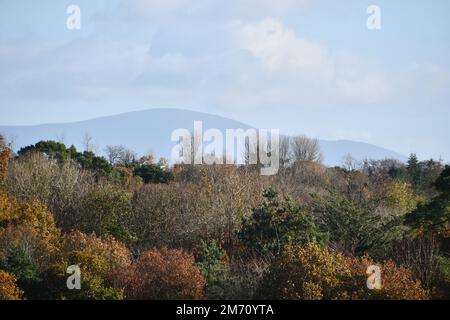 Blick auf die Leinster Mountains vom Kilkenny Castle Park Stockfoto