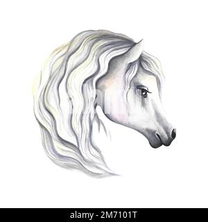 Porträt eines weißen Pferdes. Aquarelldarstellung. Für Ausdrucke, Aufkleber und Etiketten. Für Postkarten, Visitenkarten und Verpackungen. Für Plakate mit Bannern Stockfoto