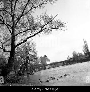 Oradea, Kreis Bihor, Sozialistische Republik Rumänien, ca. 1975. Blick auf den Fluss Crisul Repede mit dem Hotel Dacia (heute Hotel Continental) auf der Rückseite. Stockfoto