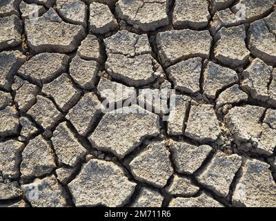 Trockenes, gerissenes Feld. Natürliche Textur von Erde mit Rissen. Gerissener Bodenhintergrund. Große Risse im Boden. Stockfoto