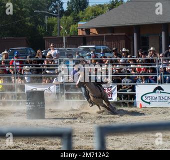 New Liskeard, Ontario, Kanada - 13. August 2022 : Barrel-Rennen beim RAM Rodeo in New Liskeard, Ontario. Stockfoto