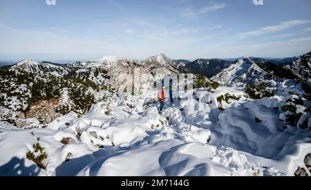 Bergsteiger im Winter, Wanderung zur Ammergauer Hochplatte in den Ammergaualpen, Bayern, Deutschland Stockfoto