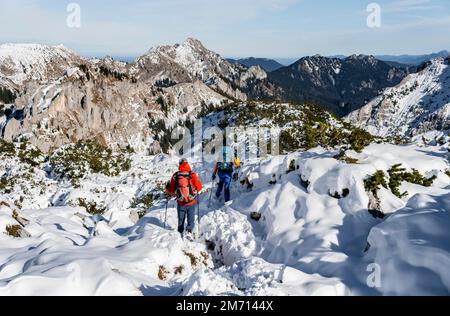 Bergsteiger im Winter, Wanderung zur Ammergauer Hochplatte in den Ammergaualpen, Bayern, Deutschland Stockfoto