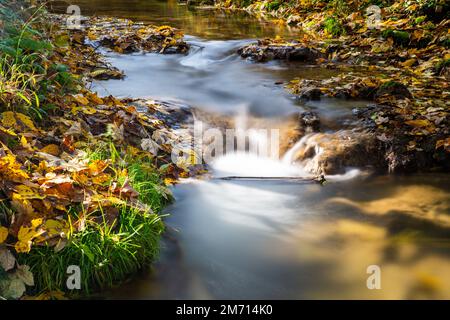 Kleiner Bach im Herbst mit goldenen Blättern am Flussufer lange Sonneneinstrahlung Stockfoto
