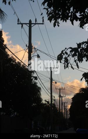 Telefonmasten und Kabel bei Sonnenaufgang Stockfoto