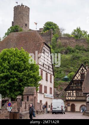 Altes Fachwerkhaus im Zentrum der Altstadt und Burgturm Kaysersberg auf dem Hügel, Kaysersberg, Grand Est, Haut-Rhin, Elsass, Frankreich Stockfoto