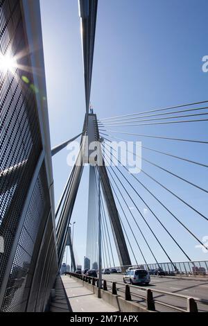 Blick vor dem Sonnenlicht auf die Anzac Bridge, eine achtspurige Kabelbrücke in Sydney (New South Wales). Stockfoto