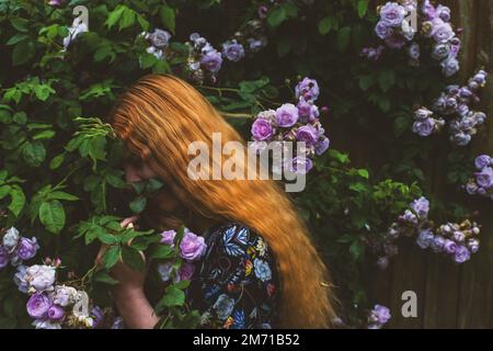 Dieses Bild zeigt eine Frau mit langen, fließenden roten Haaren, die vor einer Wand steht, die mit violetten Rosen bedeckt ist. Stockfoto