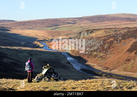 Walker Genießen Sie den Blick entlang des River Tees in Richtung Falcon Clints und Meldon Hill vom man Gate auf Cronkley Fell, Upper Teesdale County Durham, Großbritannien Stockfoto