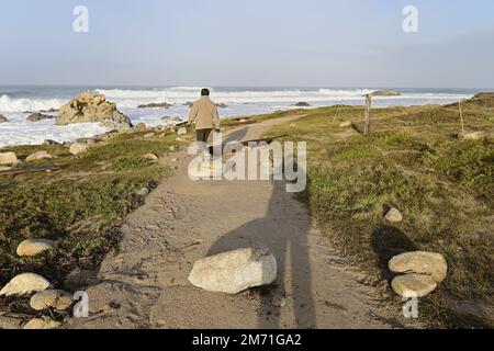 Pacific Grove, Kalifornien, USA. 6. Januar 2023. Schäden an der Pazifikküste des Asilomar State Park. Der Bombenzyklon verursachte erhebliche Schäden am Asilomar Küstenpfad. (Kreditbild: © Rory Merry/ZUMA Press Wire) Stockfoto