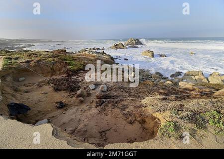 Pacific Grove, Kalifornien, USA. 6. Januar 2023. Schäden an der Pazifikküste des Asilomar State Park. Der Bombenzyklon verursachte erhebliche Schäden am Asilomar Küstenpfad. (Kreditbild: © Rory Merry/ZUMA Press Wire) Stockfoto