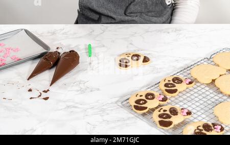 Panda-förmige Shortbread-Kekse mit Schokoladenglasur Stockfoto