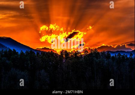 Die Sonne geht an einem kalten Morgen im Abschnitt Cades Cove des Great Smoky Mountains National Park auf. Der Orange vom Sonnenaufgang wird entgegengesetzt von Stockfoto