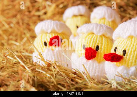 Gestrickte Spielzeugküken, die aus einem Ei schlüpfen, auf einem Heustroh-Hintergrund. Osterkonzept Stockfoto